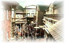 �֖�C���~���[�W�A��