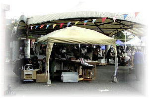 �C�ӂ̃J�����s