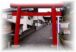 �W���_�В���