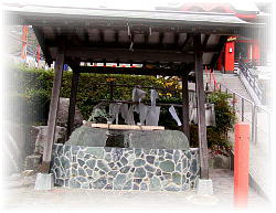 �W���_��