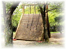 �嗢�����V��2009