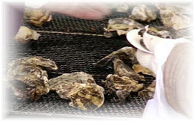 �嗢�������H�s2015