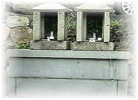 �����q���ω���