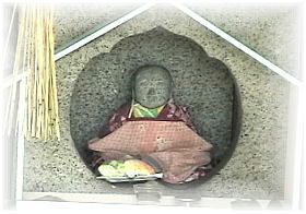 ���}���������~