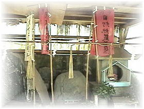 ���}���������~��