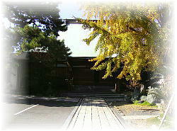 �������{��