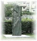 ���������Y�V��