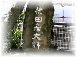 ���c�F��_