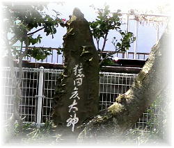 ����_�Ђɂ����