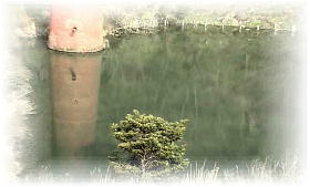 ���X�]�q���̂������