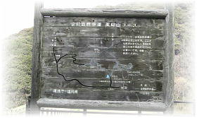 ���X�]�q���̂������