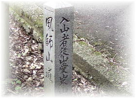 ���t�R��