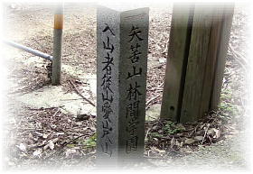 ��R�ъԊw����