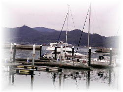 �V��i�}���[�i�[