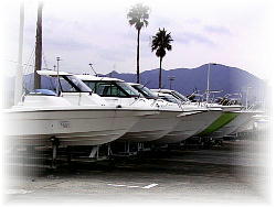 �V��i�}���[�i�[