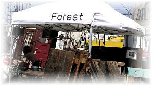 �A���e�B�[�L���Oin��i�`