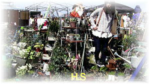 �A���e�B�[�L���O