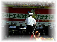 �o�i�������2009