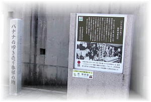 �o�i�i�̂��������蔭�˂̒n�̔�Ɛ���