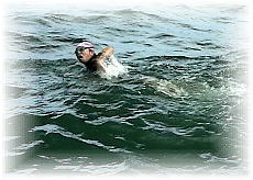 �֖�`�{�[�g�V��