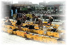 ���ւ���