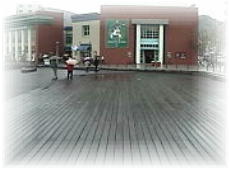 �n�[�o�[�f�b�L