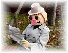 �R�X�v���C���[