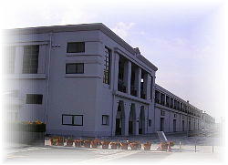 ����A�q�H�㉮