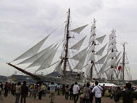 ���D�C����