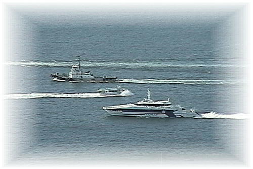 �V�[�}�b�N�X�Ɗ֖�n�D�ƃ^�O�{�[�g