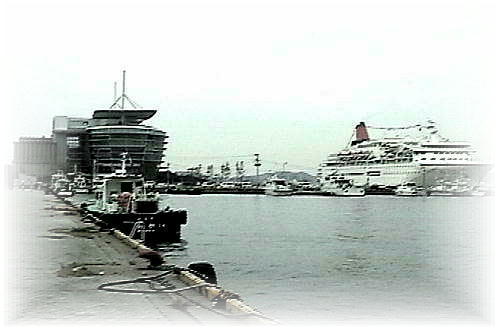 �C���h���}�Ɠ��{��