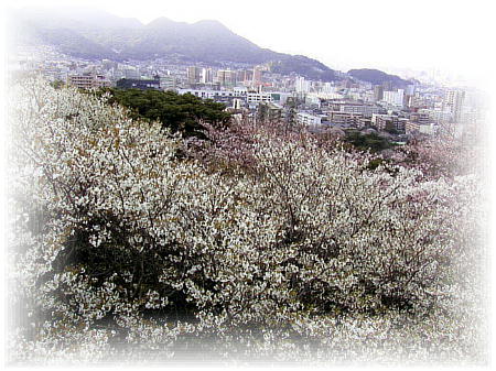 �\���C���V�m