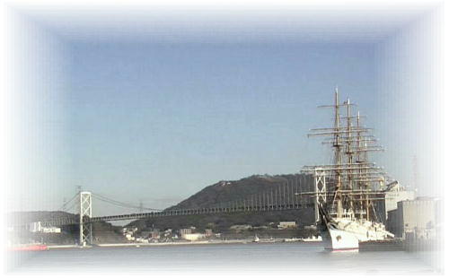 �֖勴�Ɣ��D�C����2024