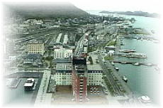 ���g���W�]������