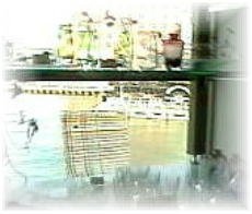 �ԃ����K�K���X��