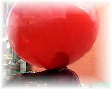 �哹�|�t�F�X�^2003