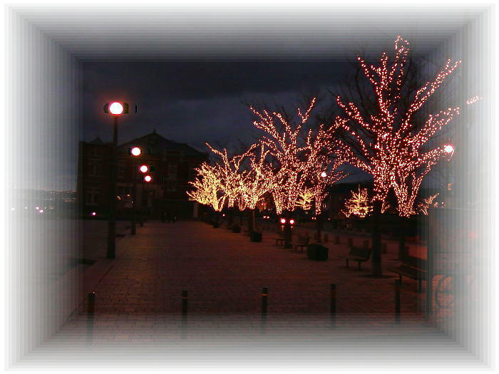 �e���L�ꂩ�狌��i�Ŋ�