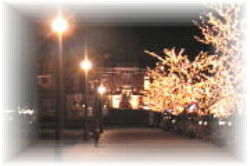 �e���L�ꂩ�狌��i�Ŋ�