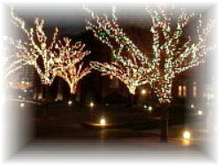 ����i�Ŋ�