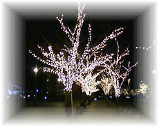 �E�H�[�^�[�t�����g�v�����i�[�h