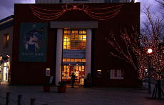 �C���~�l�[�V�����̊C���v���U