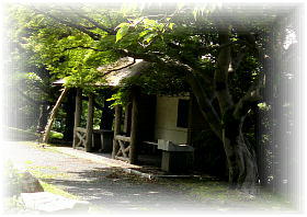 �߂������