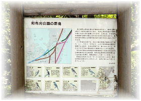 �a�z�������쒹���z�}