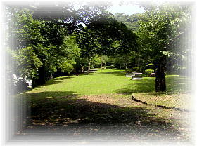 �߂������