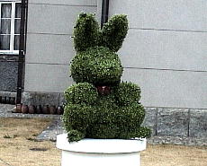 �E�T�M�̌`�ɃJ�b�g������