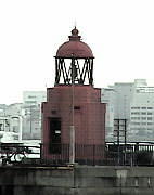 �Ԃ��F�̓���ł��B