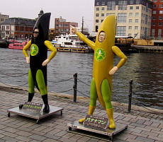 �o�i�i�}���̓���2013