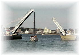 ���g���̕��i2023�N