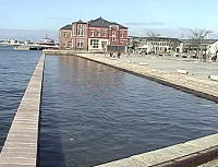 �C���v���U������̎B�e������