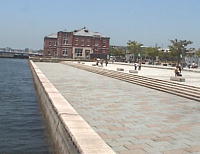 �C���v���U������̎B�e������